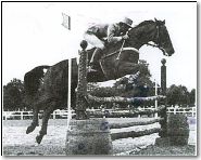 jean_luc_cornille_jumping_horse_1.jpg