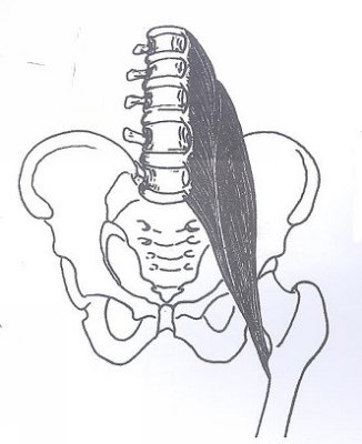 psoas 