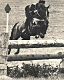 jean luc cornille jumping horse