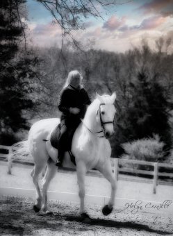 in hand dressage online therapy course